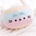 PUSHEEN ROUND RAINBOW SQUISHEEN